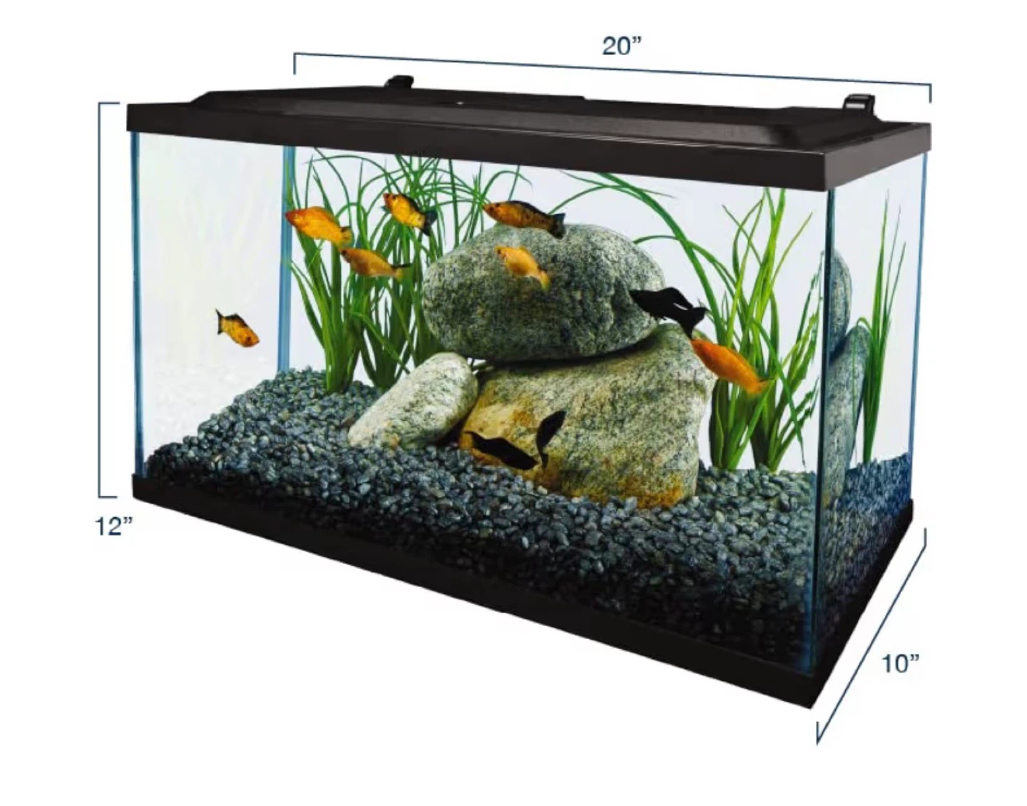 Fishtank