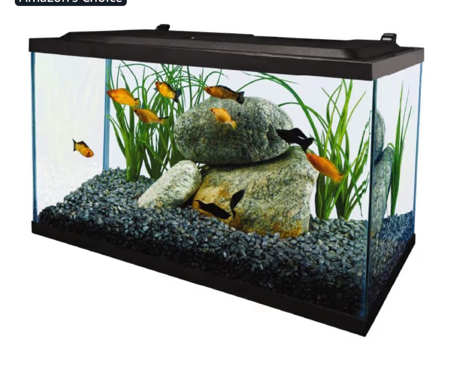 Fishtank - photo 2