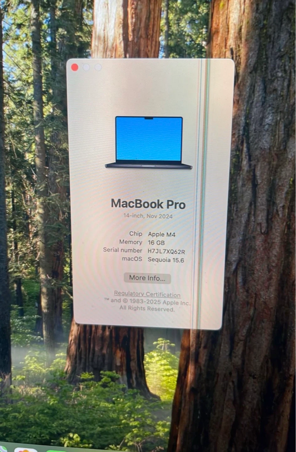 Apple MacBook Pro 14-inch 2024 - photo 3