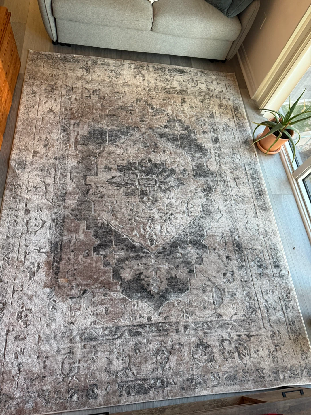 Distressed Medallion Area Rug 6 x 9 - photo 2