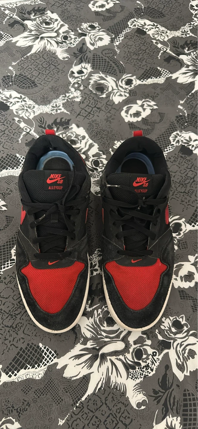 Nike SB Alleyoop Shoes