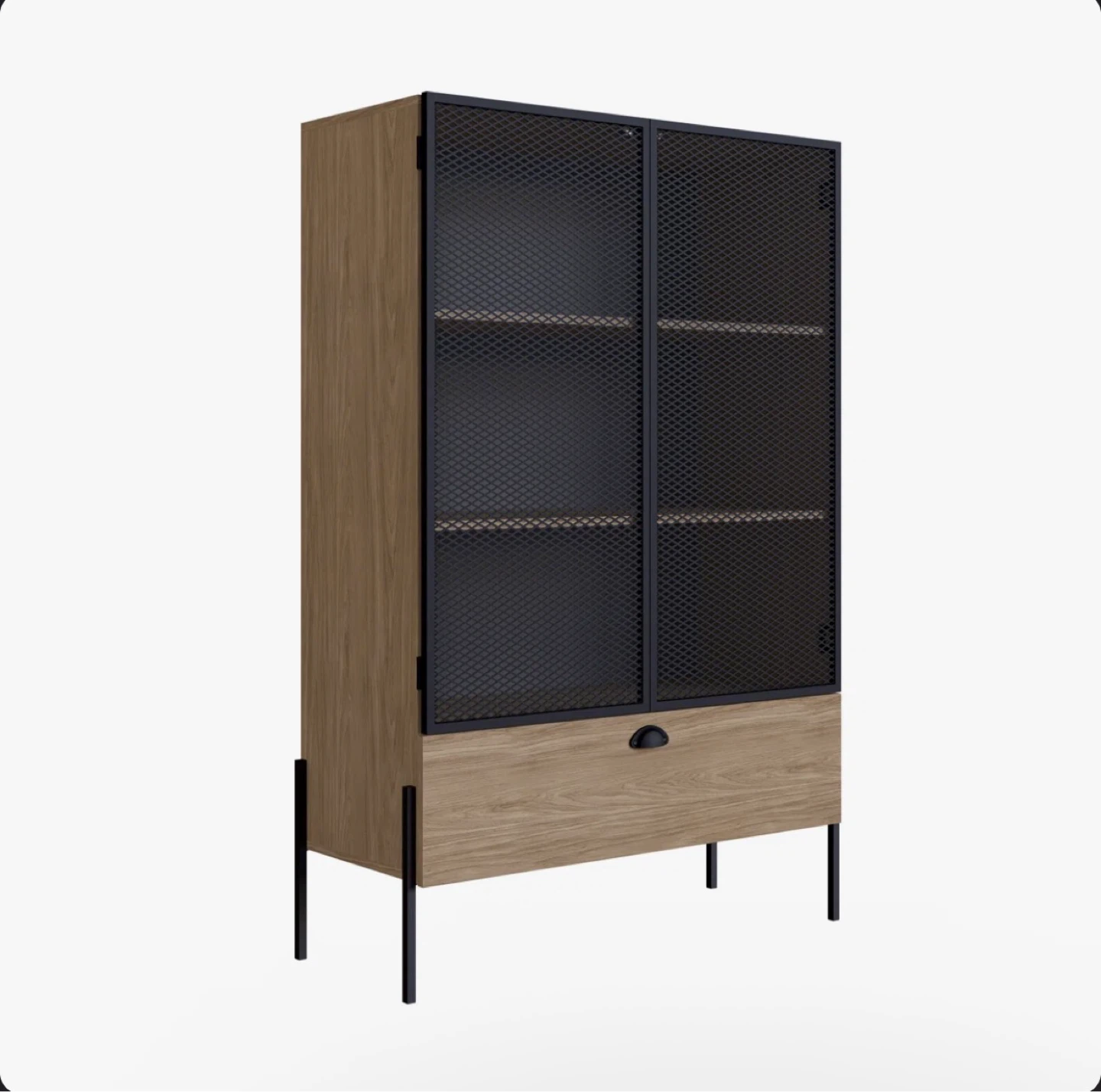 Rayisha Mesh 2-Door Display Storage Cabinet