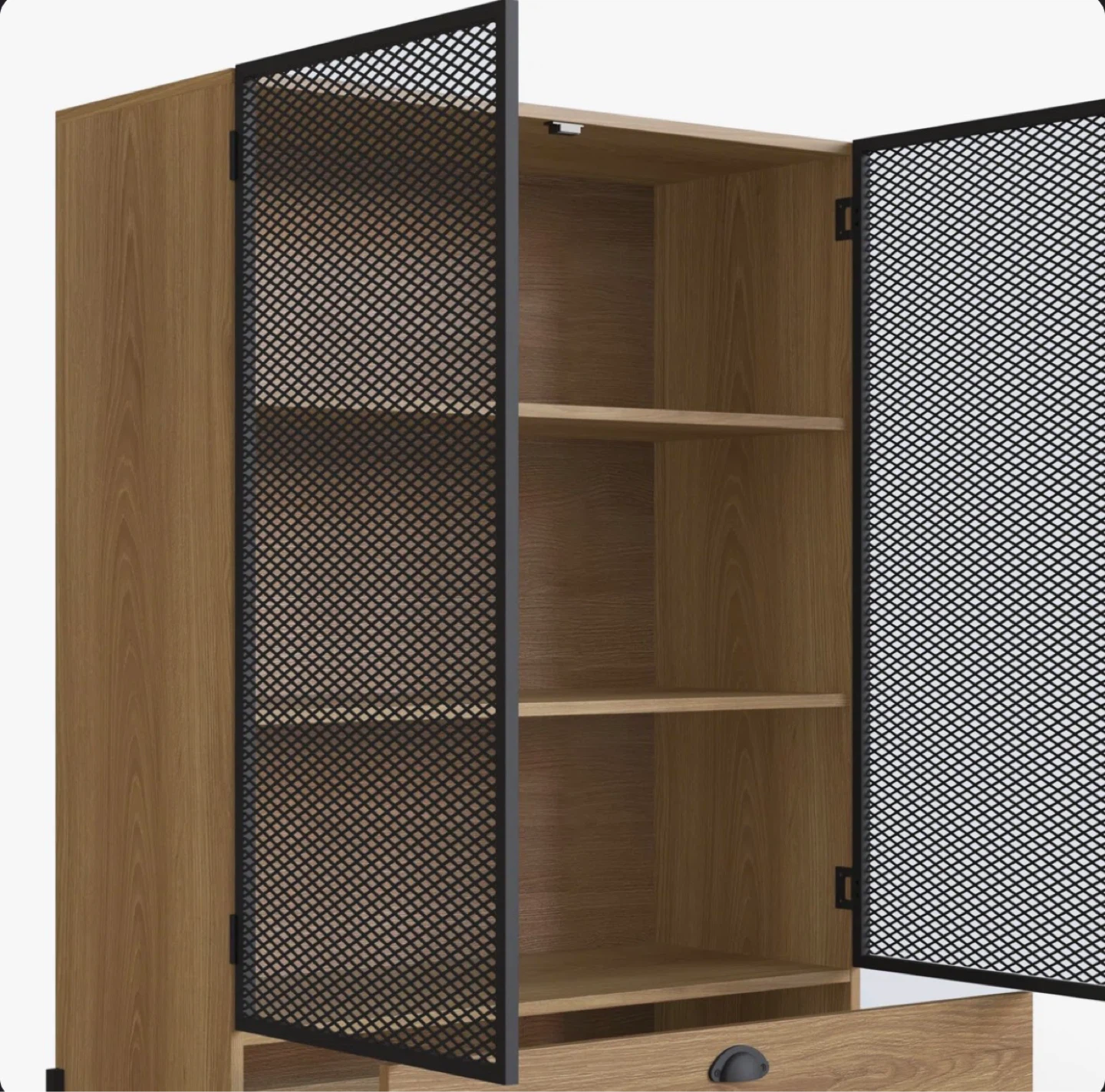 Rayisha Mesh 2-Door Display Storage Cabinet - photo 4