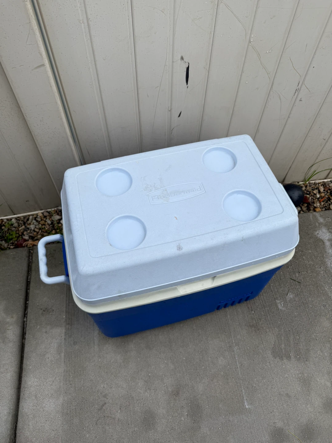 Rubbermaid Cooler