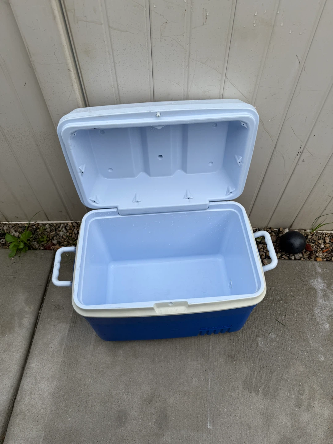 Rubbermaid Cooler - photo 3
