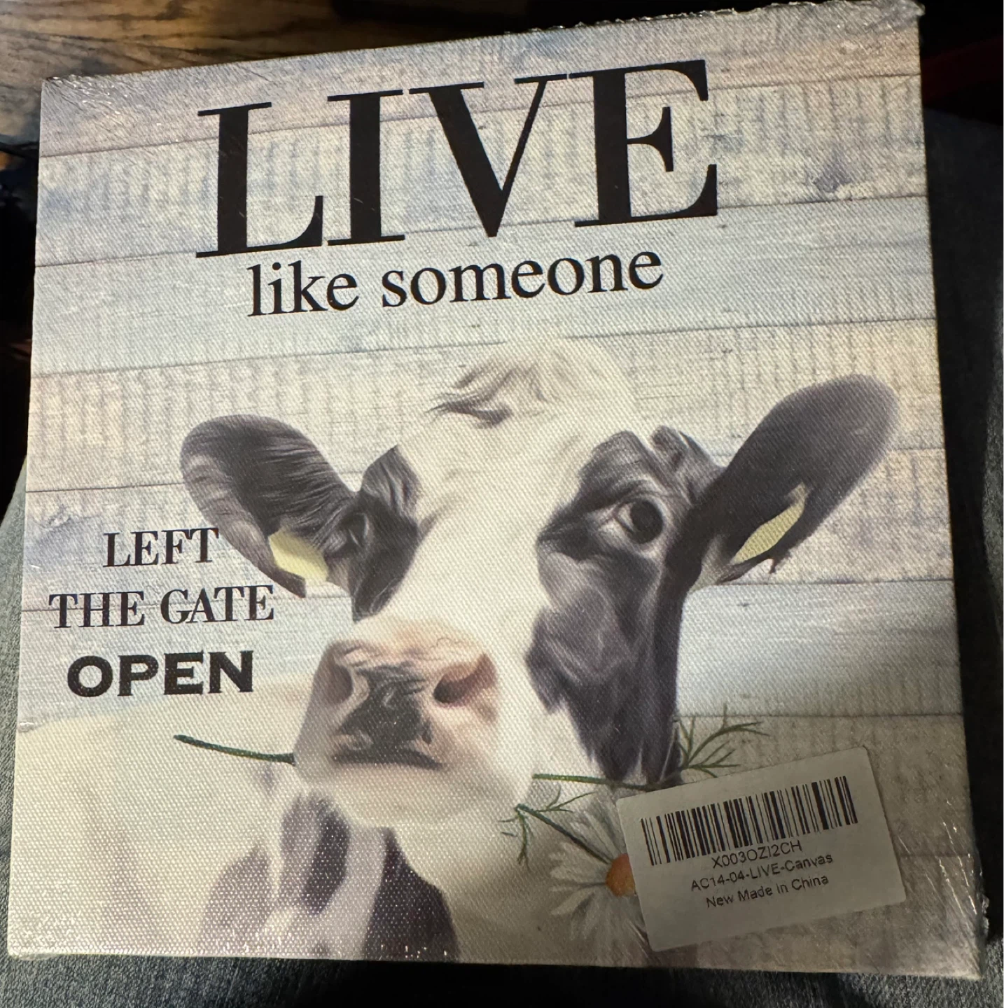 Canvas wall hanging, “Live like someone left the gate open”