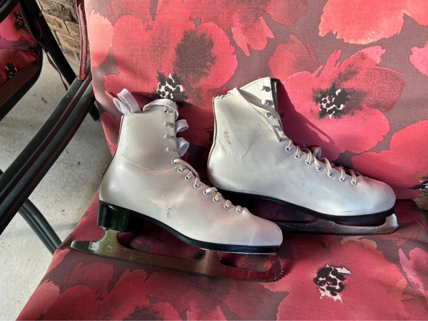 ICE SKATED - photo 2