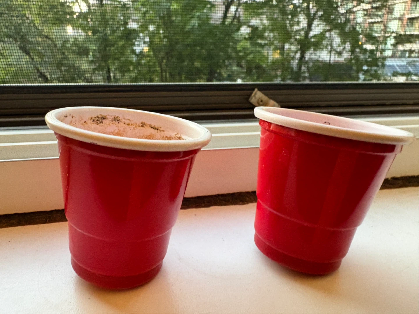 Two small starter plant pots