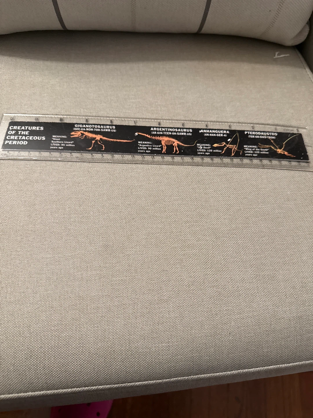 Fernbank Museum Dinosaur Ruler - photo 2