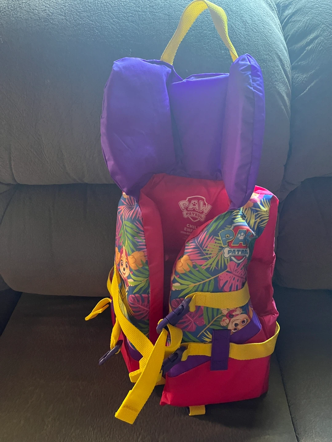 Paw Patrol Child Life Vest