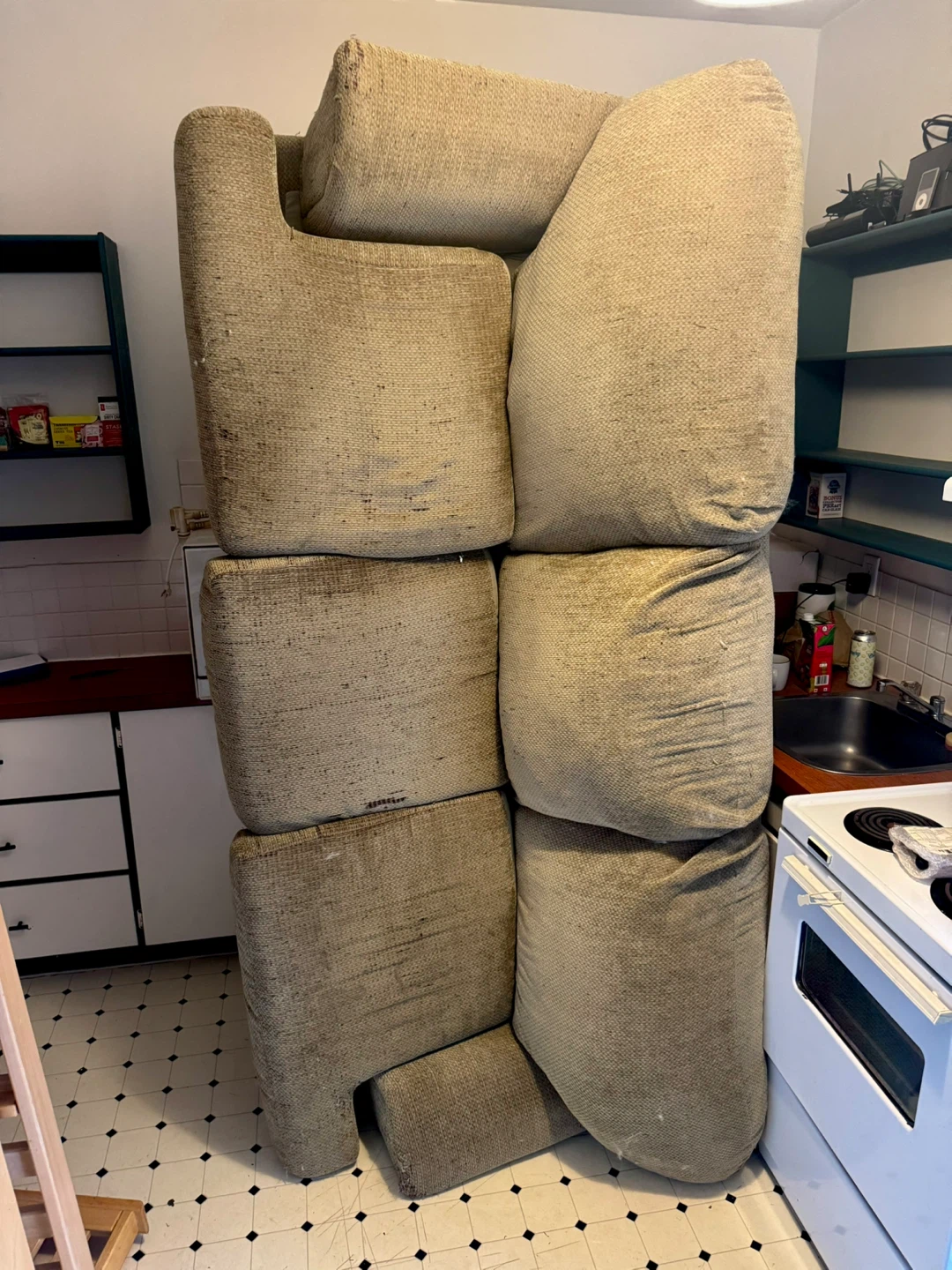 FREE! Moss-Green Couch! Very comfy, won’t fit in new apartment