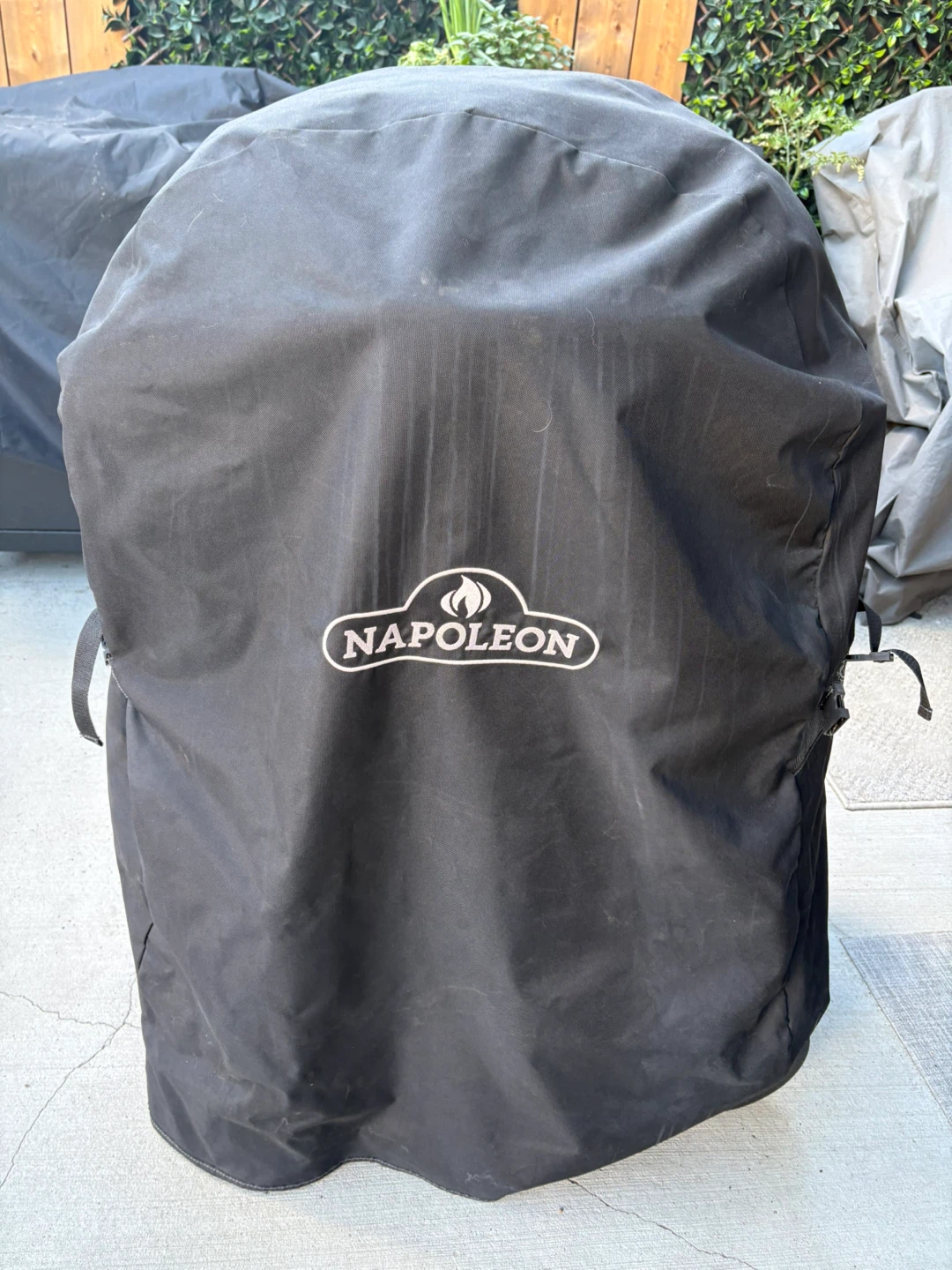 Napoleon natural gas bbq - photo 2