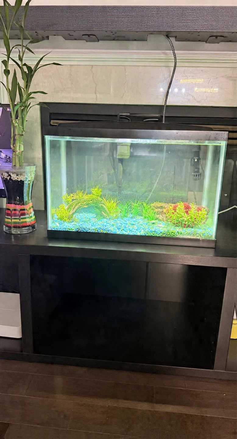 Aqueon LED Aquarium Kit - 10 gal