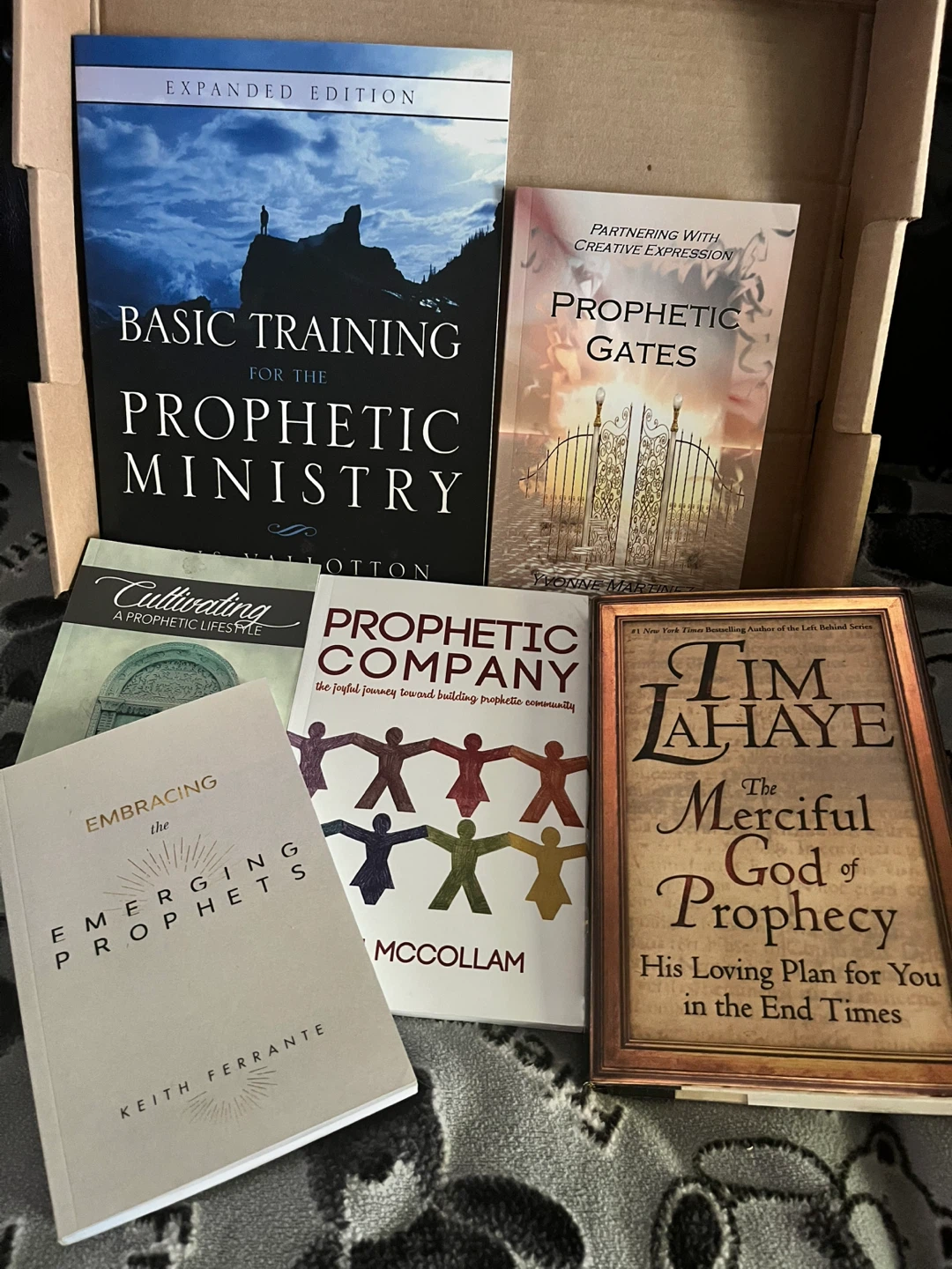 Lot of 5 Prophetic Ministry Books