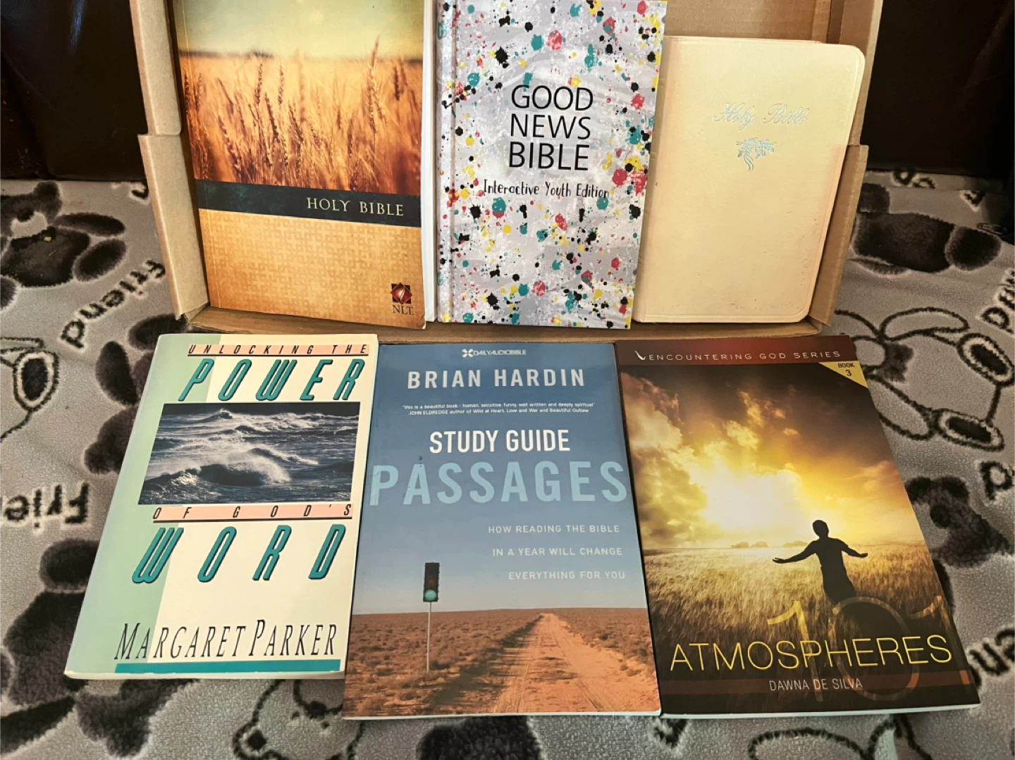 Bibles and Study Guides