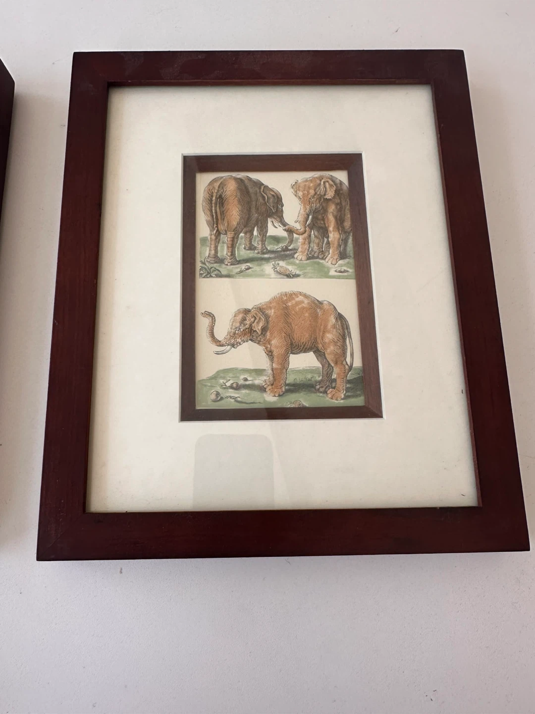 Set of 5 Framed Animal Prints - photo 4