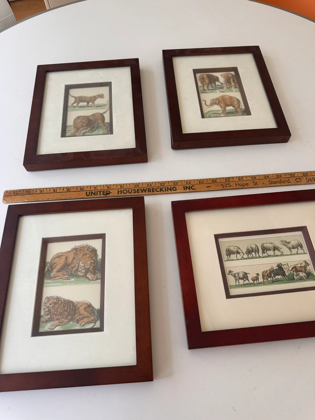 Set of 5 Framed Animal Prints - photo 2