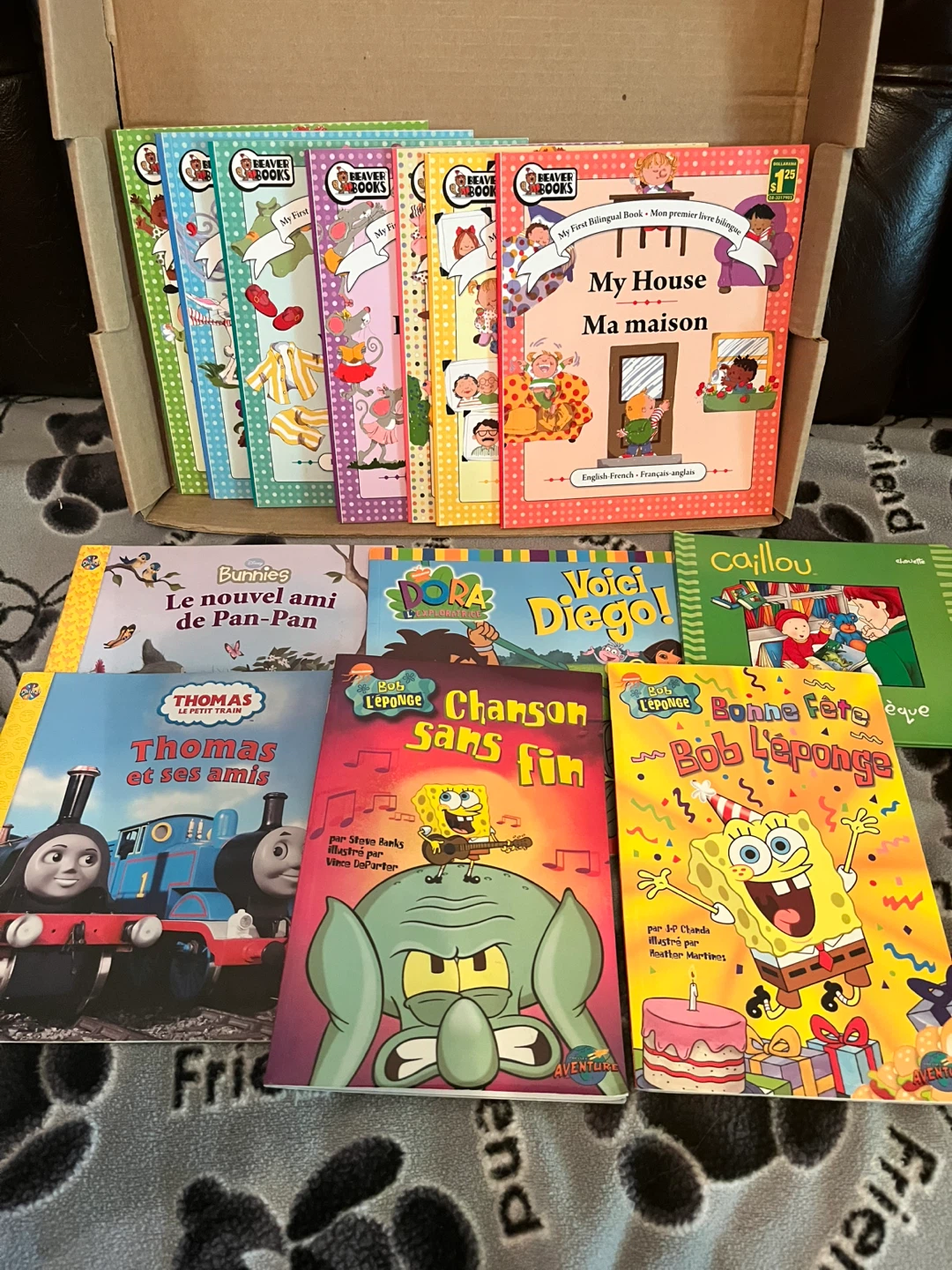 Collection of 10 French Children's Books
