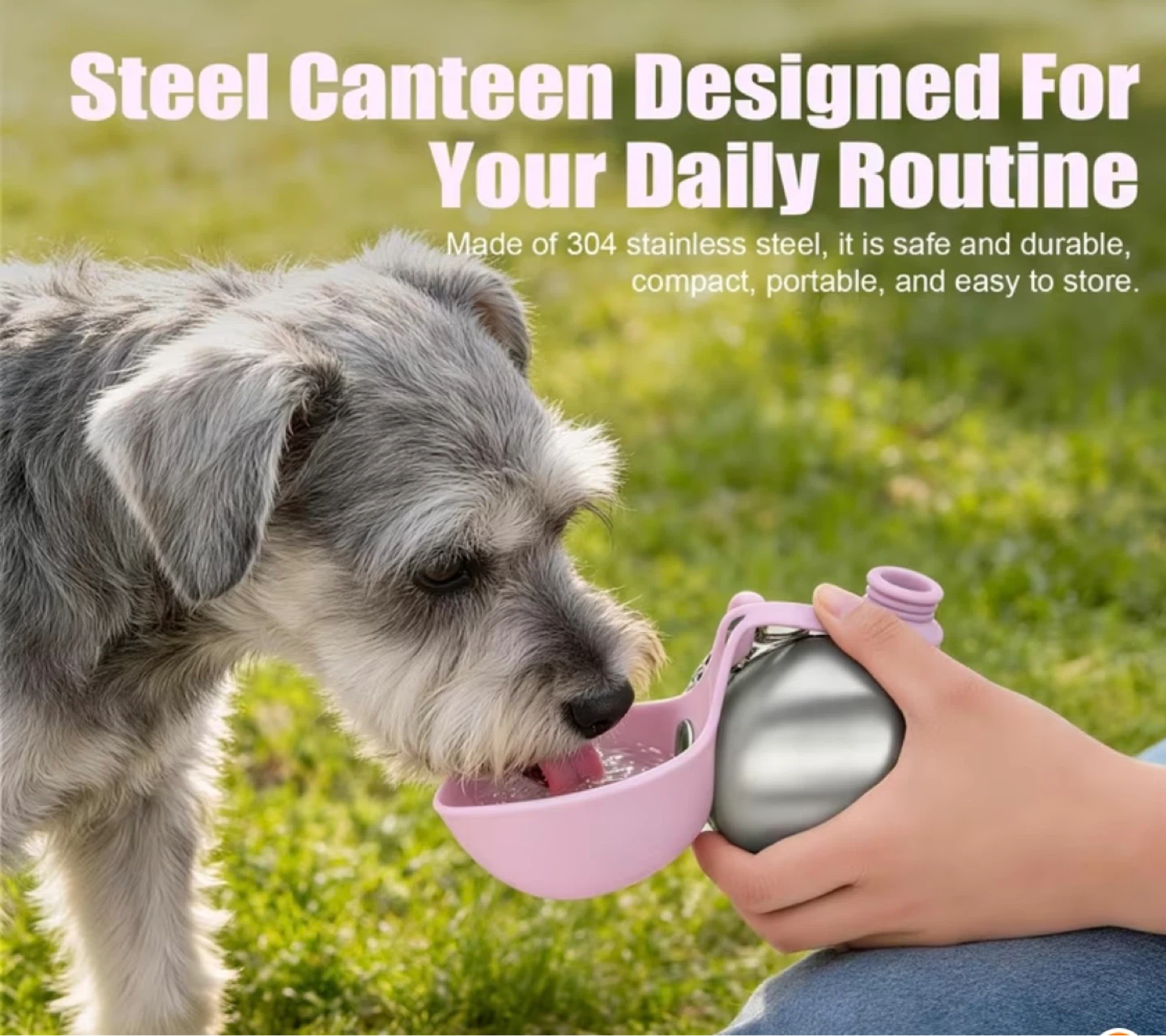 Modern Dog Water Bottle, Multi-Functional Travel Bottle 285ml - photo 2