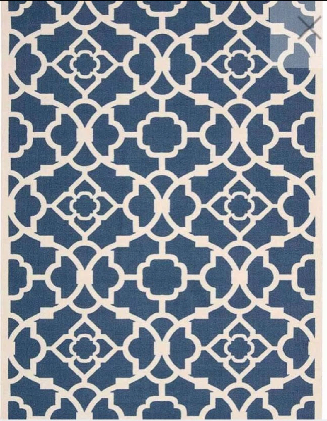 Brand New Indoor/Outdoor Rug - photo 2