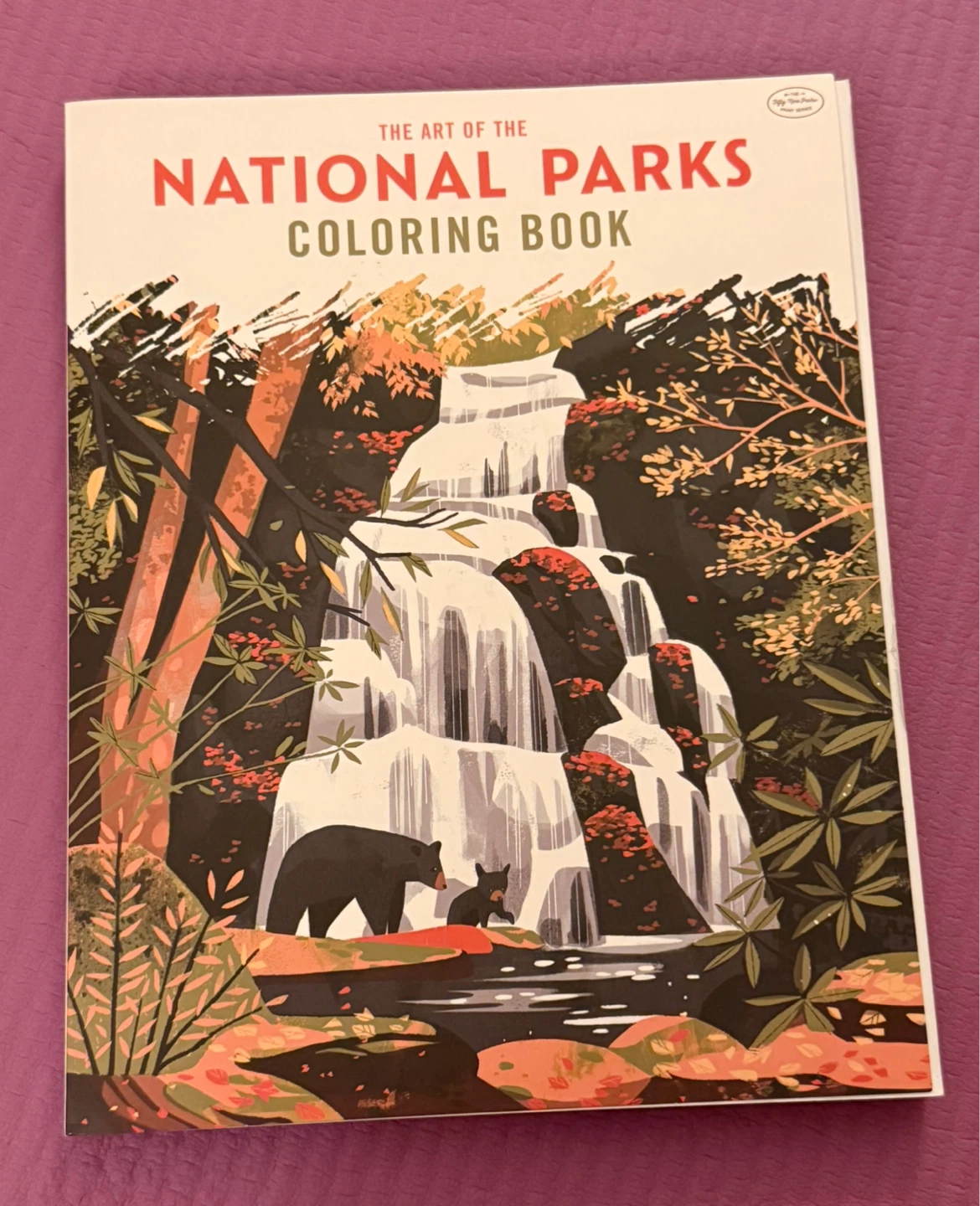 NEW✨The Art of the National Parks Coloring Book