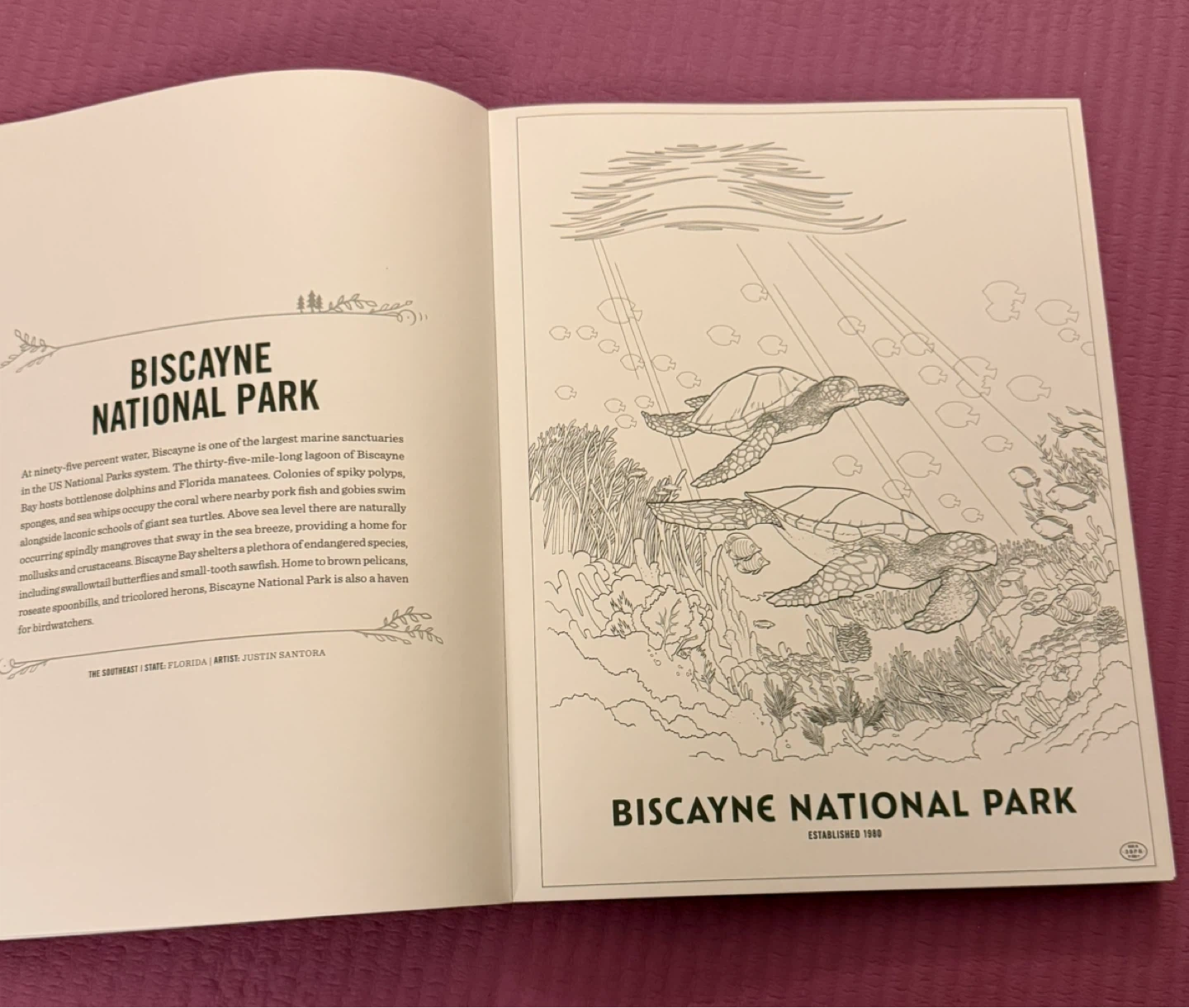 NEW✨The Art of the National Parks Coloring Book - photo 4