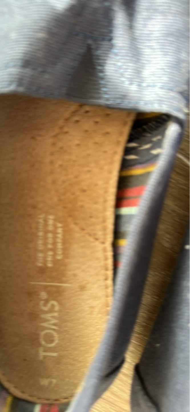 TOMS Navy Canvas Slip-On Shoes - photo 3