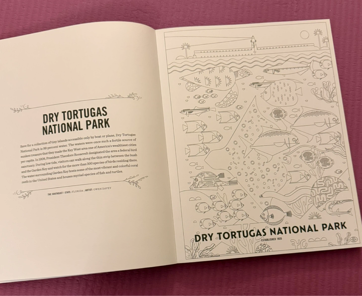 NEW✨The Art of the National Parks Coloring Book - photo 5