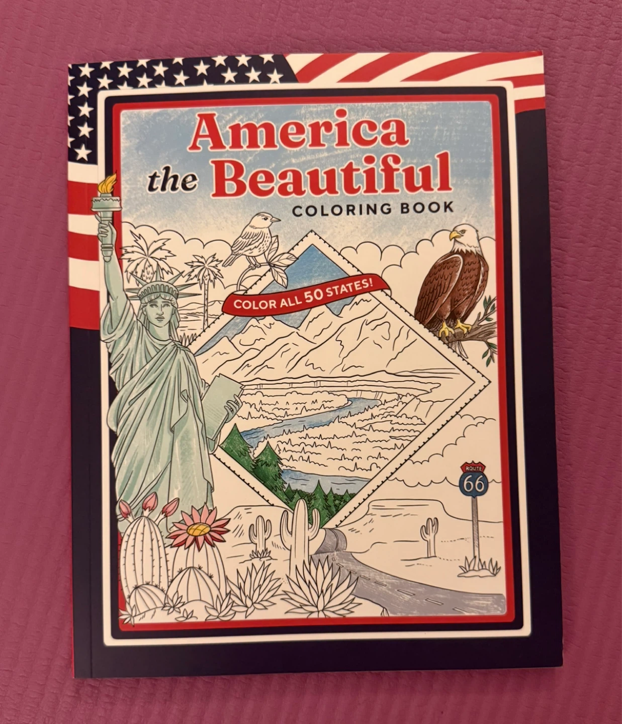 NEW✨America the Beautiful Coloring Book