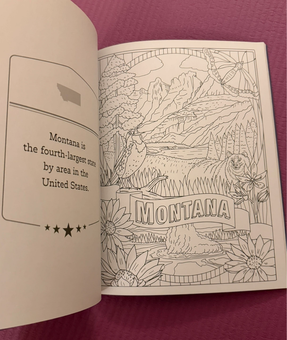 NEW✨America the Beautiful Coloring Book - photo 3