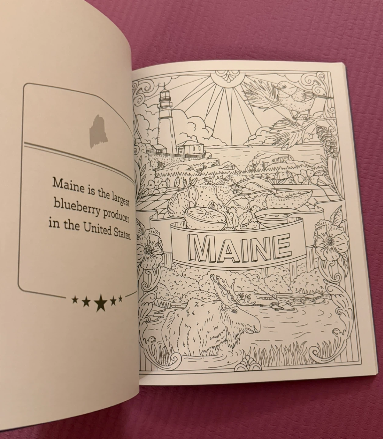 NEW✨America the Beautiful Coloring Book - photo 4