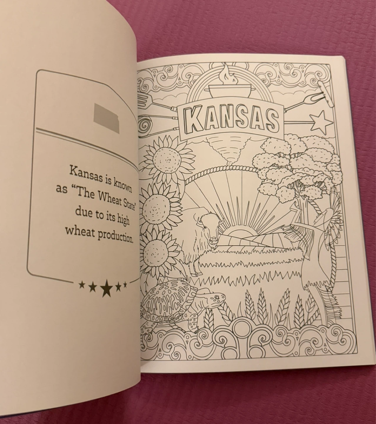 NEW✨America the Beautiful Coloring Book - photo 5