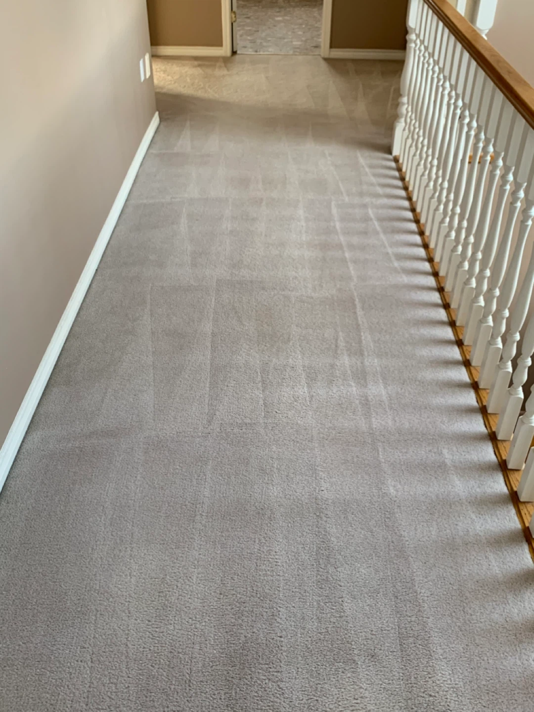 Carpet cleaning services - photo 4