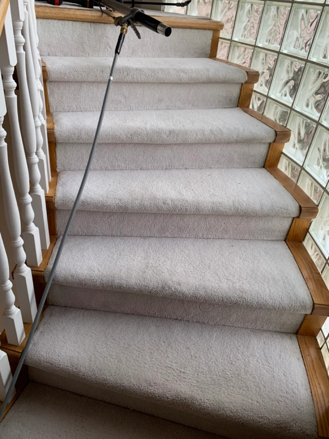 Carpet cleaning services