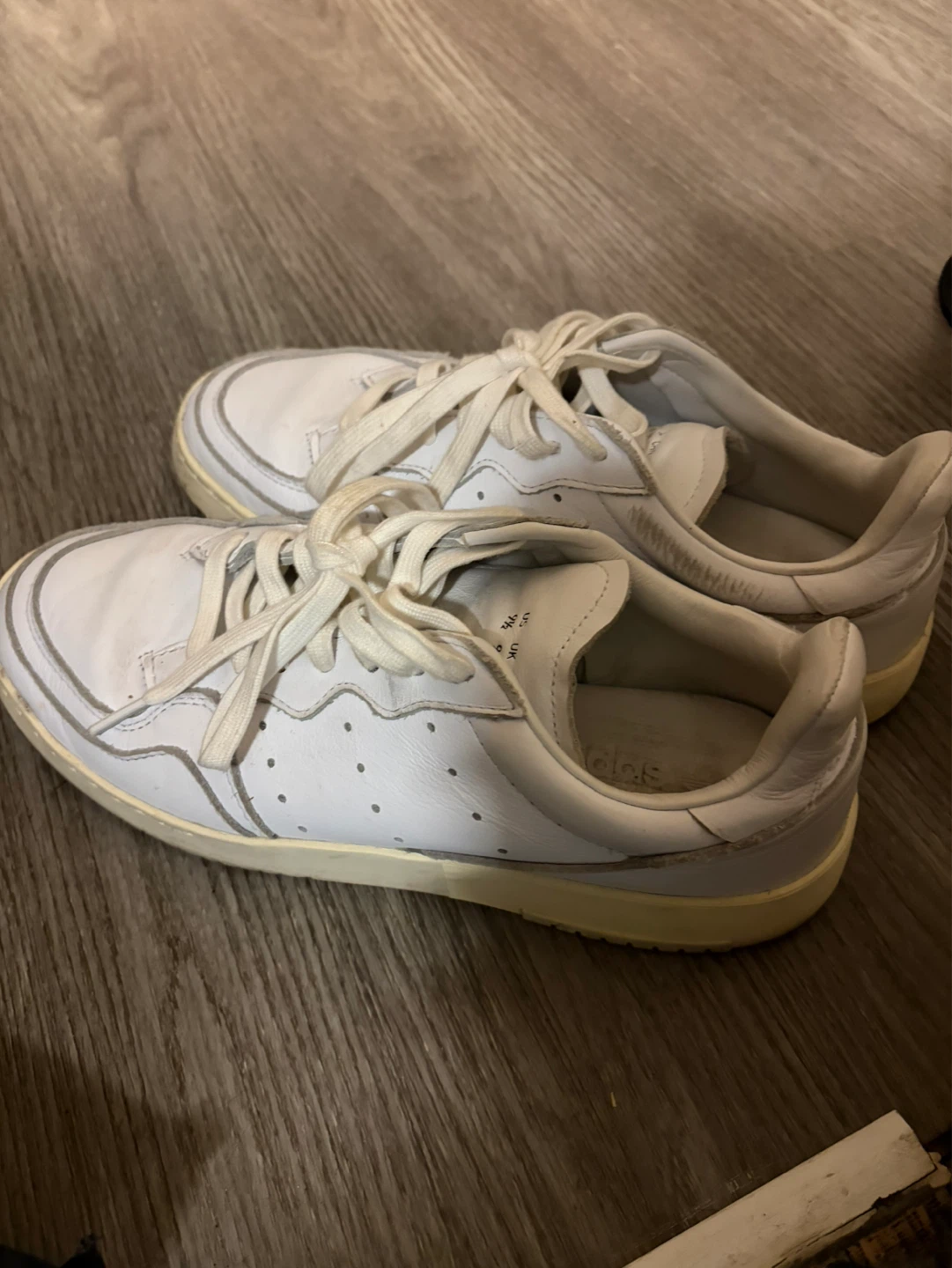 Adidas White Low Top Sneakers
