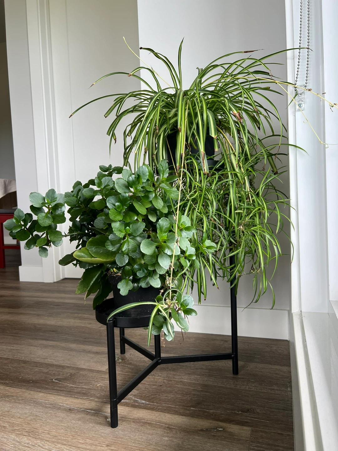 Black 3-Tier Plant Stand Olivstad from IKEA - photo 2