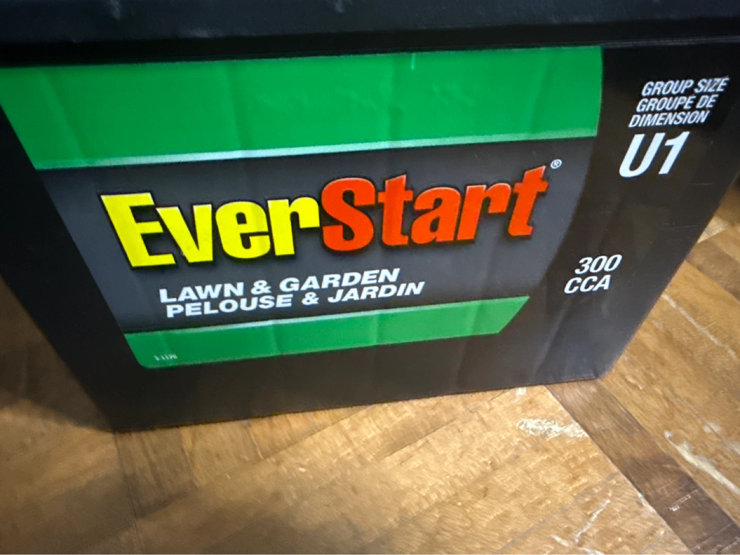 EverStart U1 Lawn & Garden Battery - photo 2