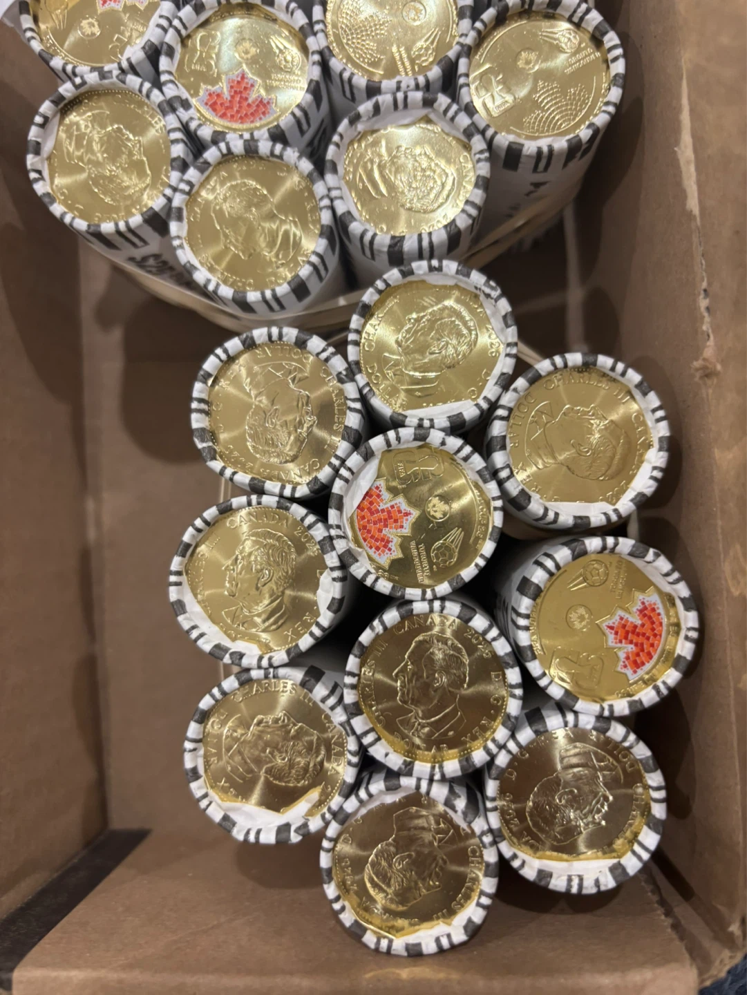 Case of Canadian Loonie Coins