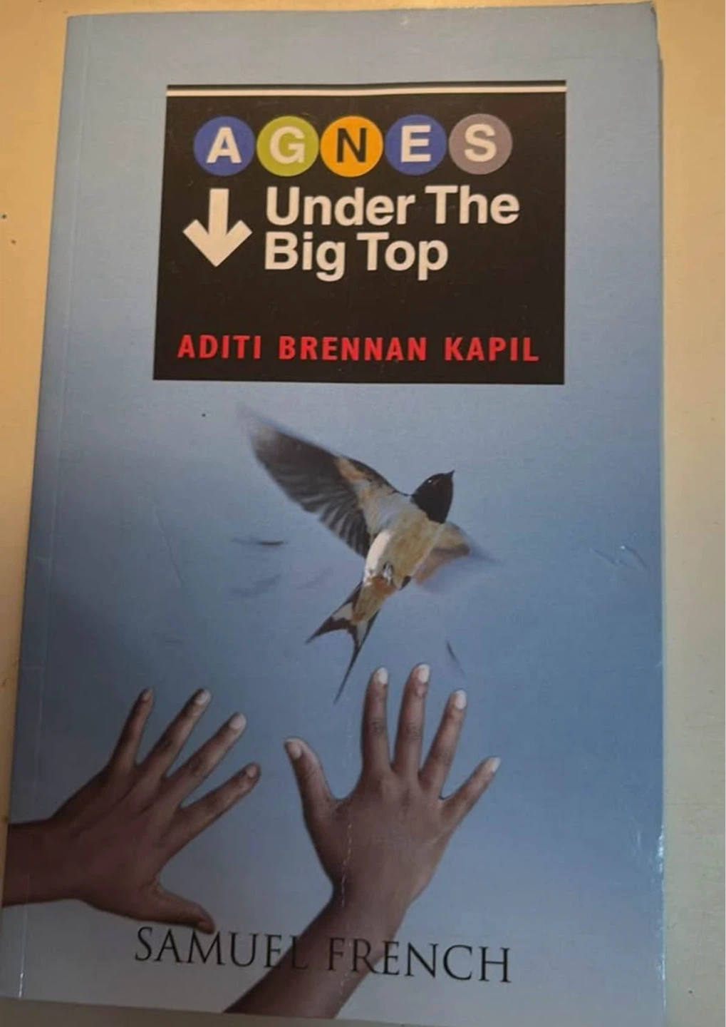 Agnes Under The Big Top by Aditi Brennan Kapil