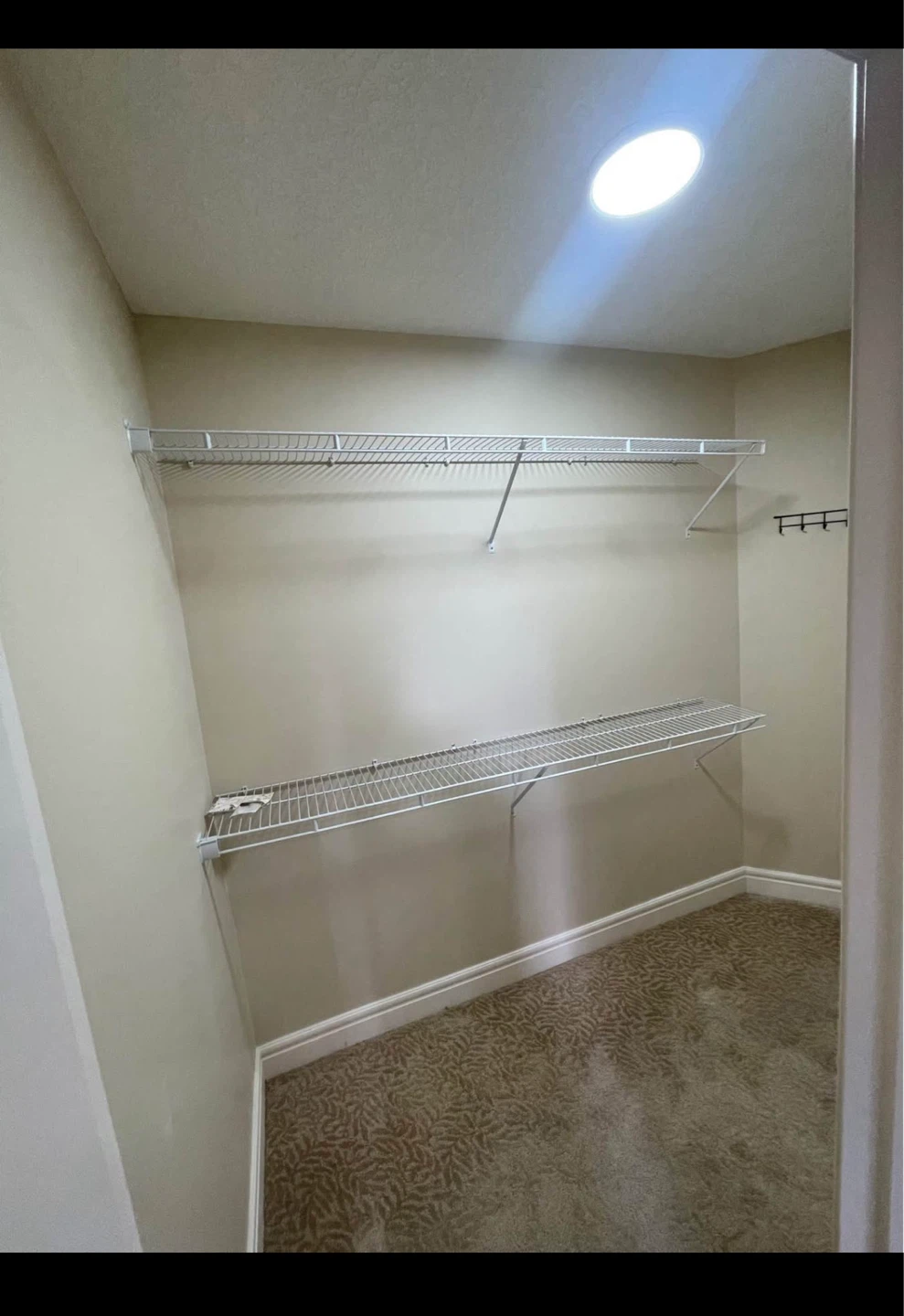 Legal Basement suite - photo 5