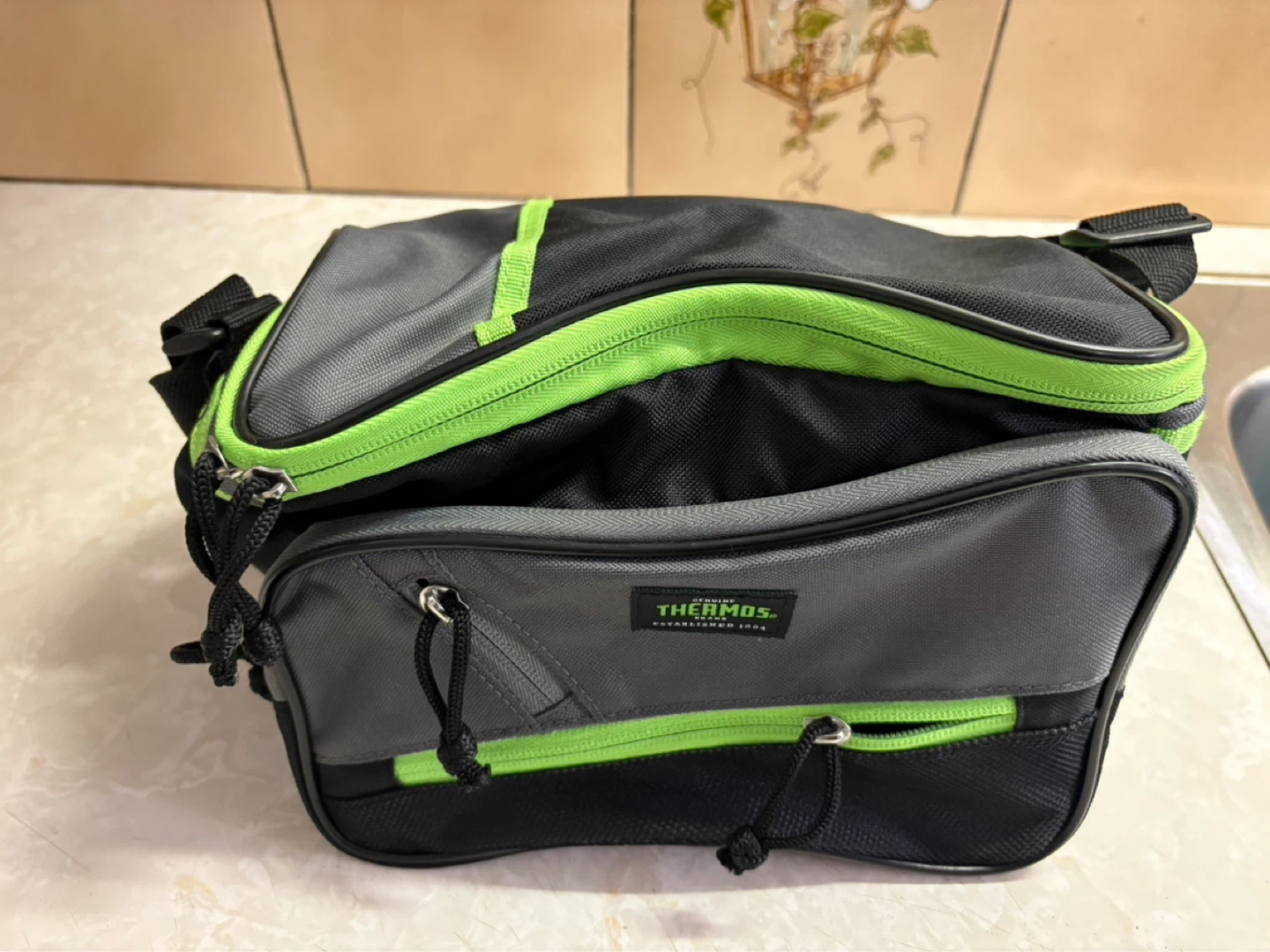 Thermos Insulated Lunch Bag