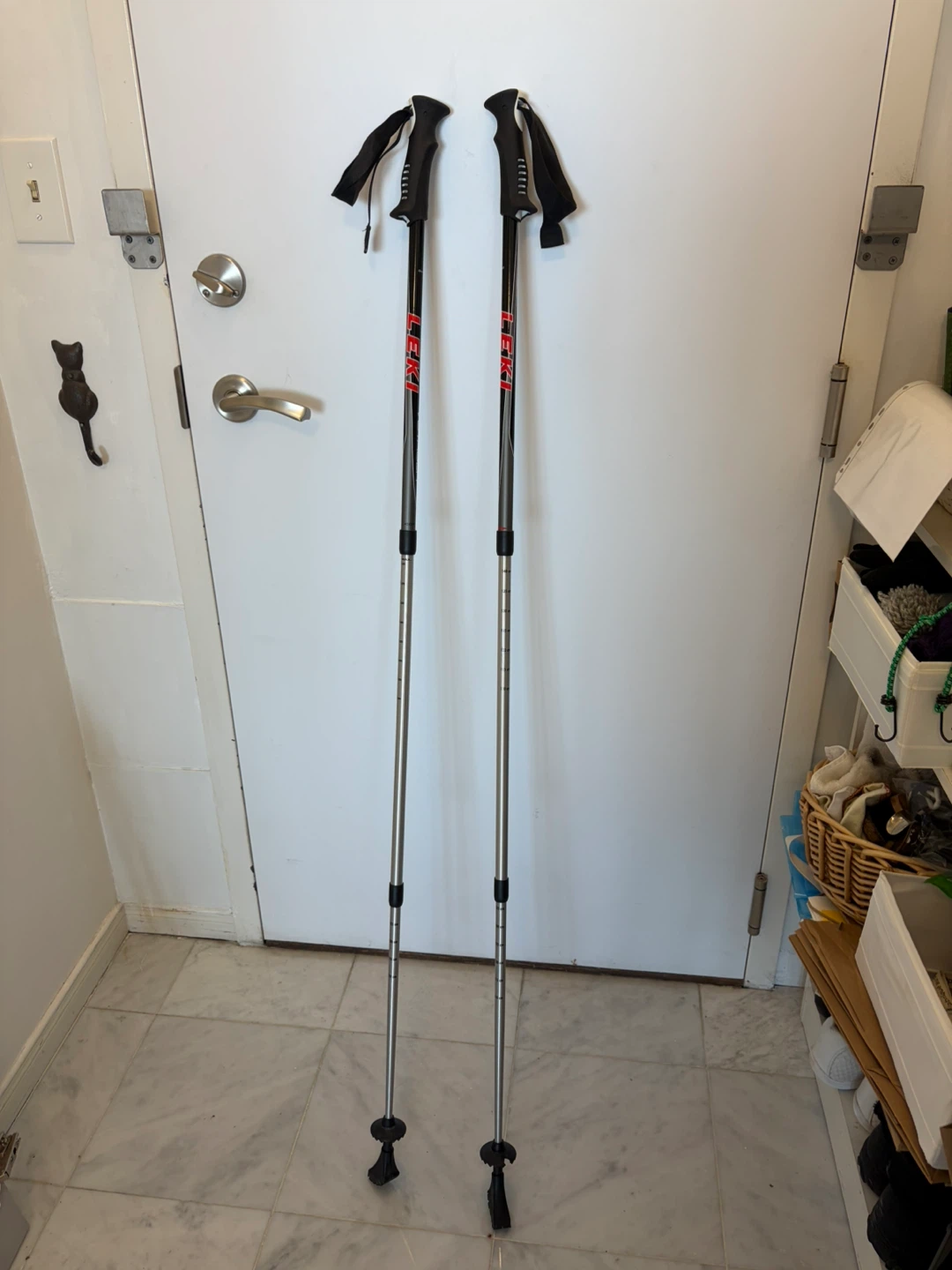 LEKI Voyager Walking Poles