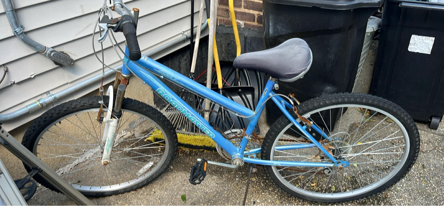 Roadmaster Blue Mountain Bike