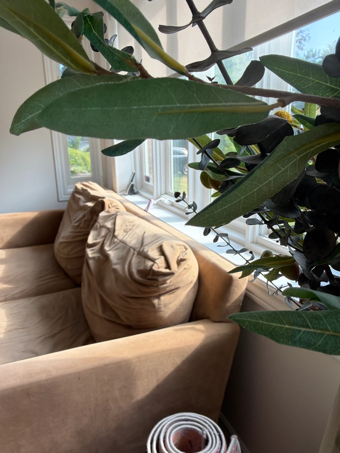 Beige Velvet Sofa - photo 2