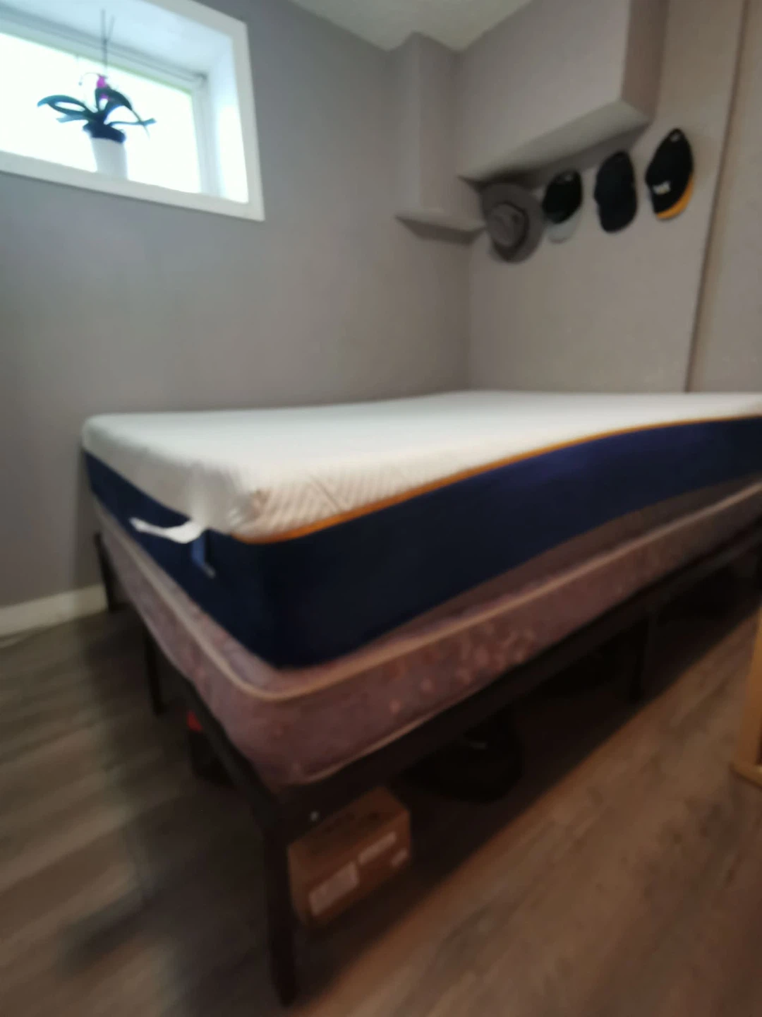 MOLBLLY Mattress & Metal Bed Frame Queen Size Bed.