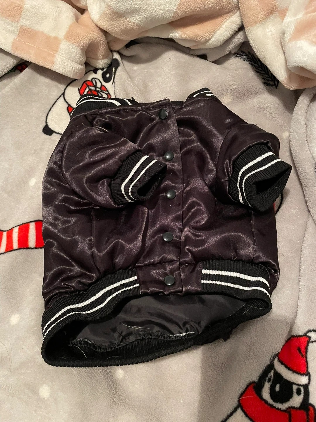 Small Canada Pooch Dog Jacket “Home Is Toronto” - photo 3