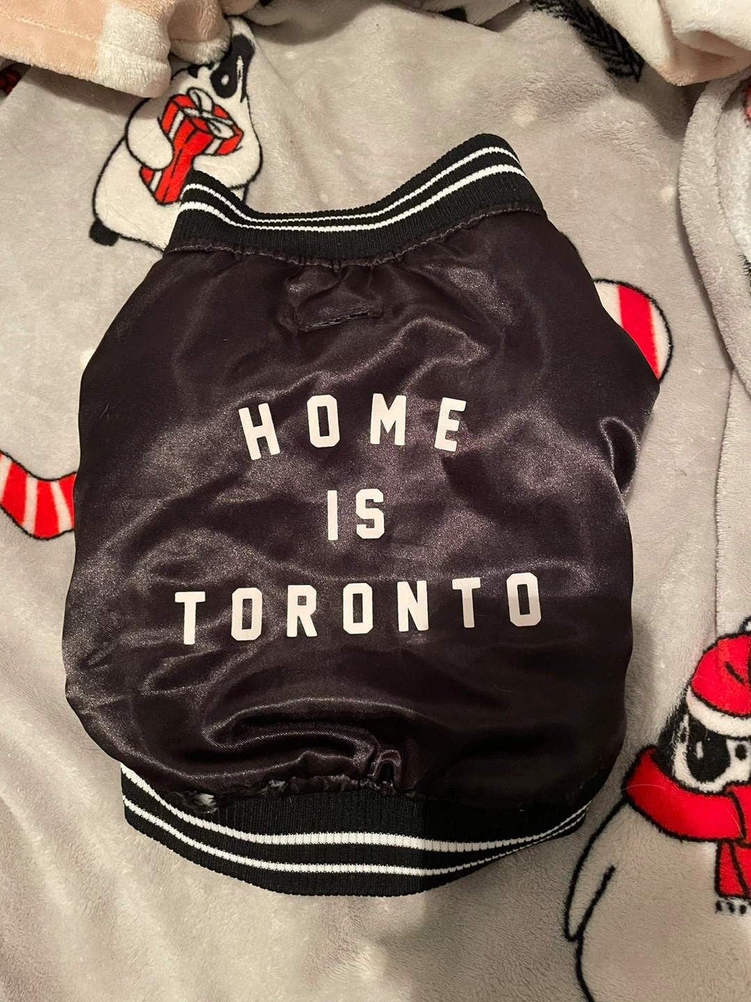 Small Canada Pooch Dog Jacket “Home Is Toronto”