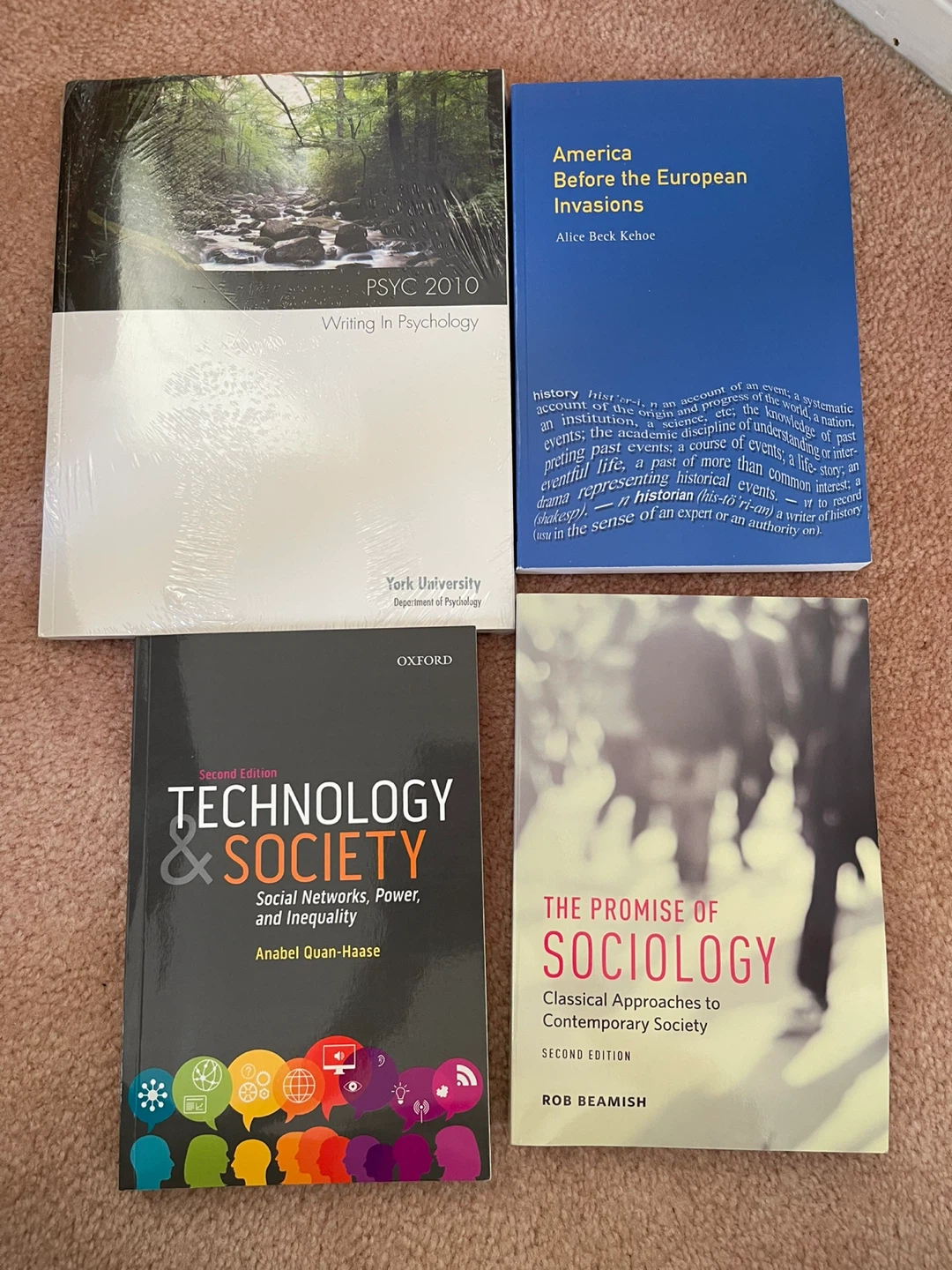Assorted Textbooks and Books - photo 4