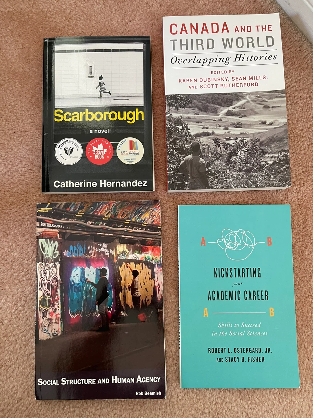 Assorted Textbooks and Books - photo 3