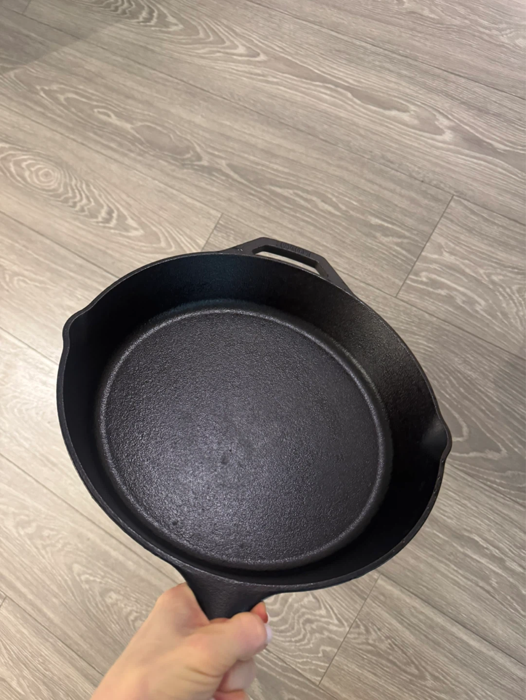 Lodge Cast Iron Skillet
